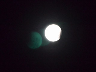 e0219011_10572787.jpg