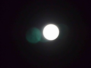 e0219011_10573768.jpg