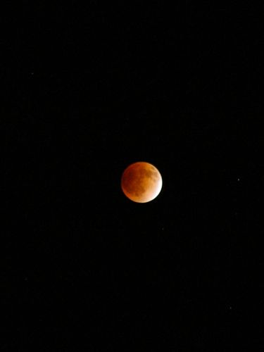 c0188814_213753.jpg