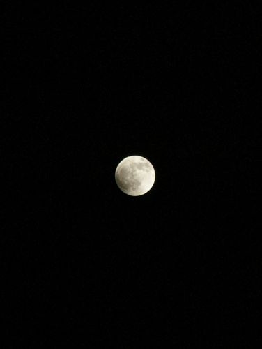 c0188814_214556.jpg