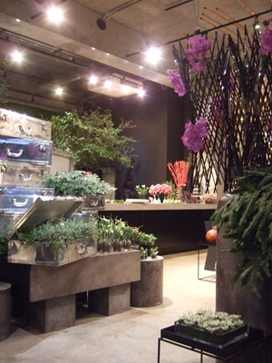 f0227218_1594155.jpg