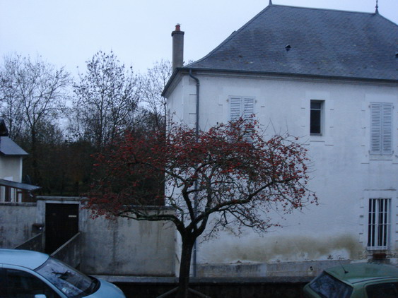 c0124619_839368.jpg