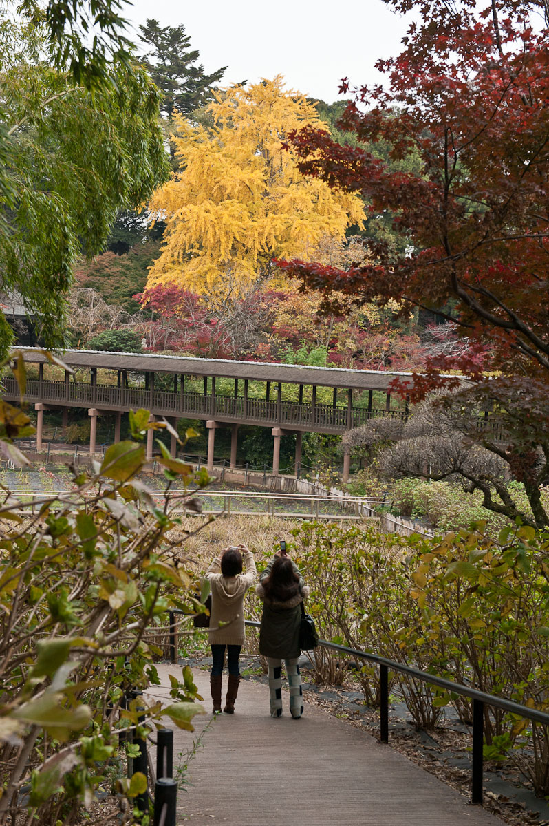 本土寺_a0232322_12534320.jpg