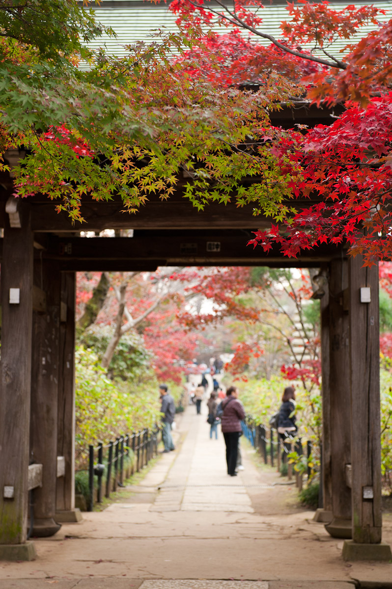 本土寺_a0232322_12535596.jpg