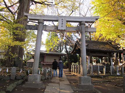 西日暮里　諏方神社の狛犬_d0065324_21371439.jpg