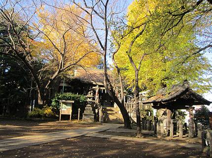 西日暮里　諏方神社の狛犬_d0065324_21373049.jpg