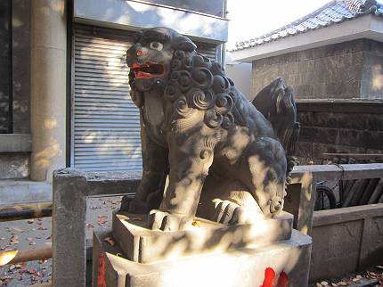 西日暮里　諏方神社の狛犬_d0065324_2143149.jpg