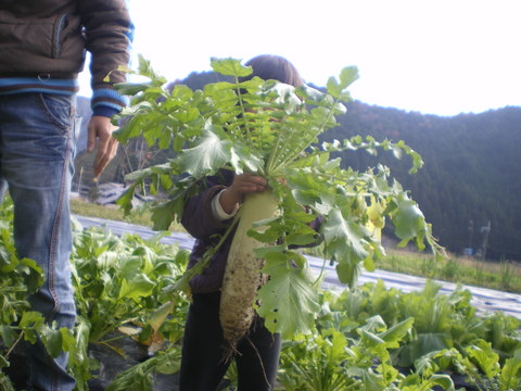 e0128024_14322075.jpg