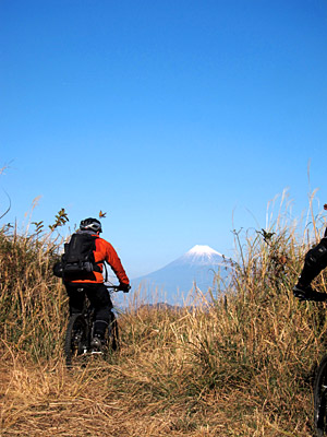 d0023725_8181751.jpg