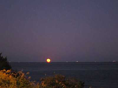 d0023725_8181854.jpg