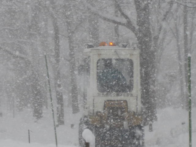 吹雪のお散歩・_e0191826_0534337.jpg