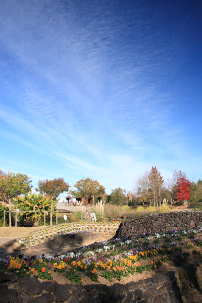 e0025930_17365036.jpg