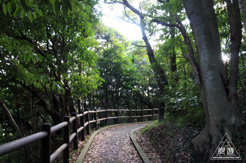 119 美保関燈台 ~青い島根~_c0211532_23211336.jpg