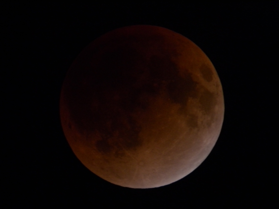 e0089232_21221249.jpg