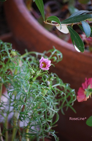f0238135_17244111.jpg