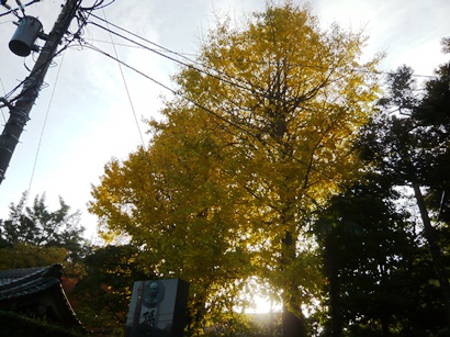 f0232136_9902.jpg