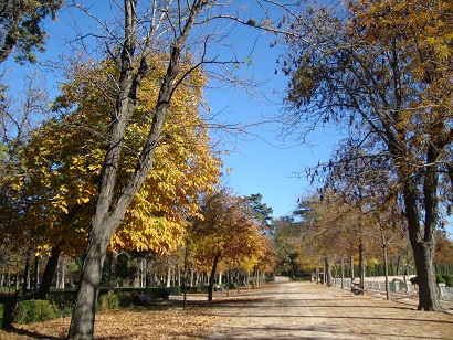 e0120938_1822747.jpg