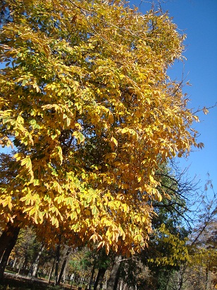 e0120938_182284.jpg