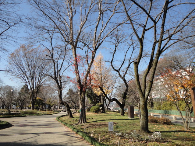 a0116439_18471869.jpg