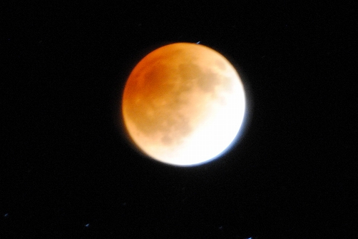 a0048040_10511833.jpg