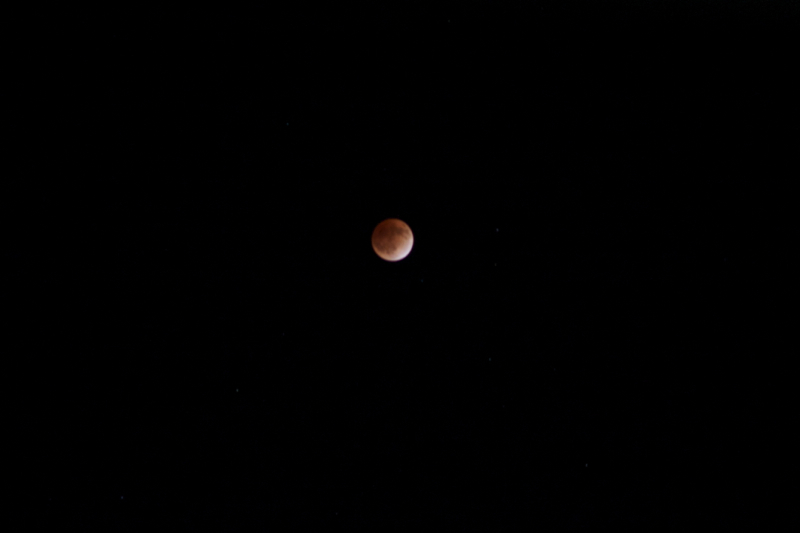 f0029541_1503465.jpg