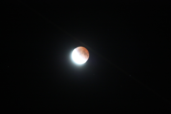 Total Lunar eclipse _c0073649_2326309.jpg