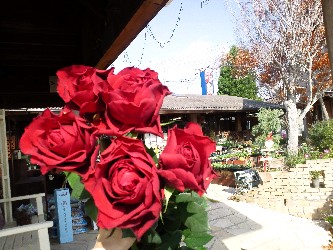 e0156650_11493711.jpg