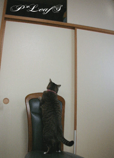 c0176651_1722940.gif