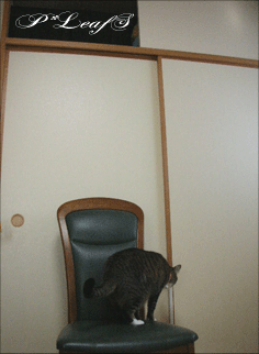 c0176651_1751545.gif