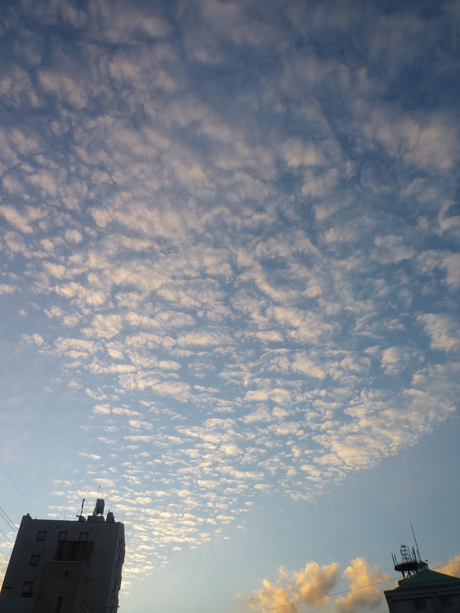 b0204453_1924970.jpg