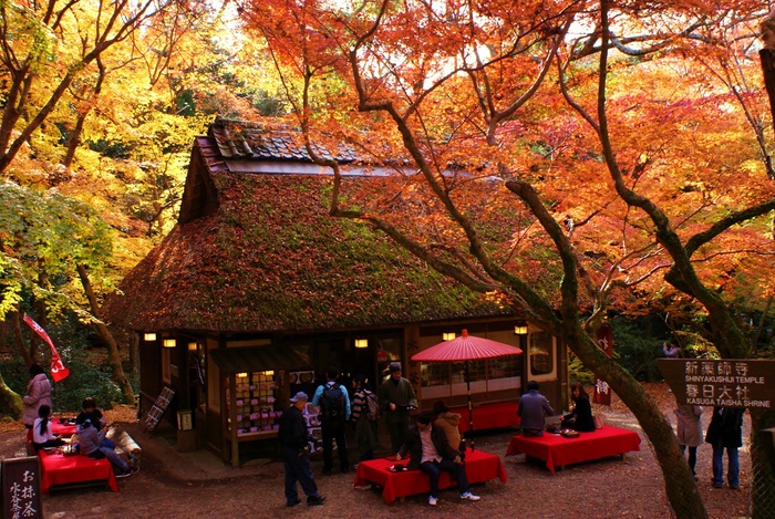 紅葉の水谷茶屋で山菜うどん たんぶーらんの戯言