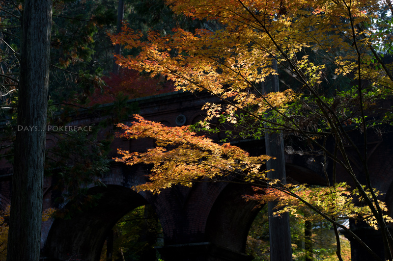 紅葉に染まる頃　南禅寺水路閣周辺 01_d0079559_2256469.jpg