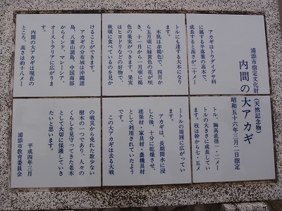 c0180460_15214574.jpg