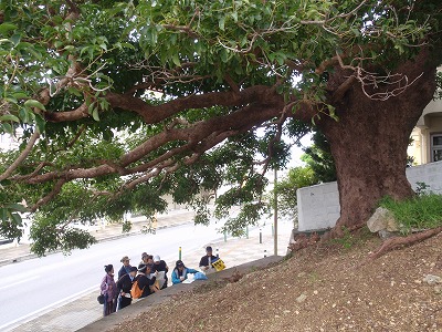 c0180460_1522921.jpg