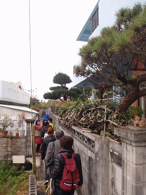 c0180460_1527661.jpg