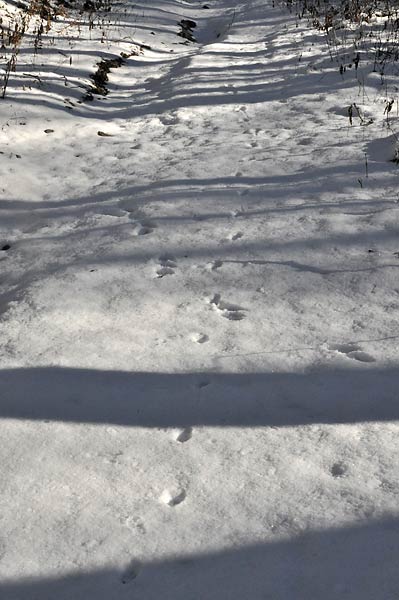 c0043361_03166.jpg