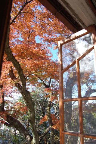 田村文宏 展 ~南海の器~ 9日目_d0087761_13501676.jpg