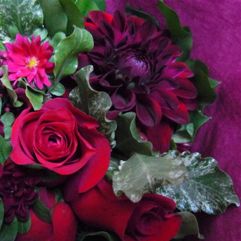 a0123465_23362169.jpg
