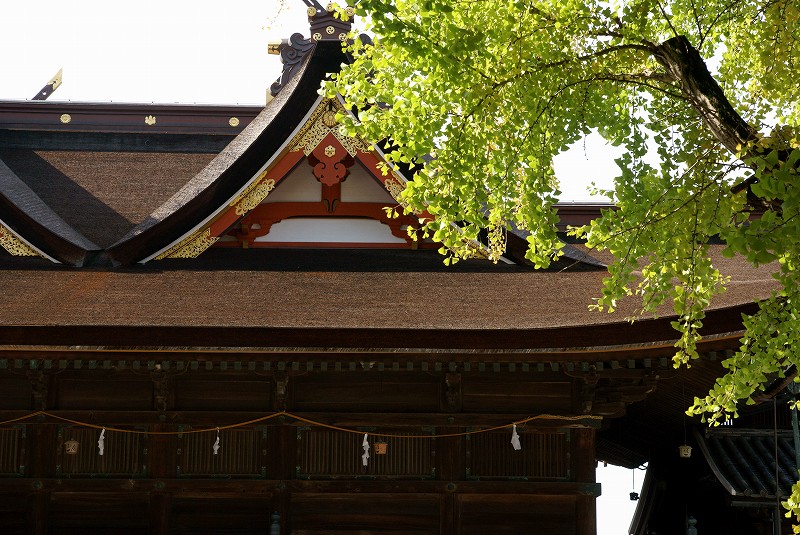 b0198768_2051067.jpg