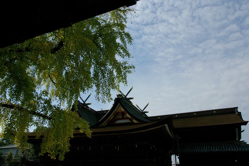 b0198768_2074570.jpg