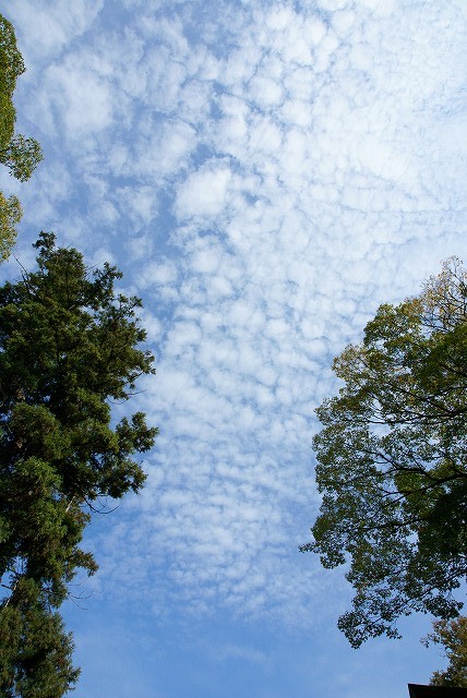 b0198768_2084955.jpg