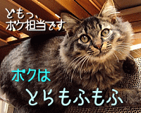 f0222768_18111929.gif