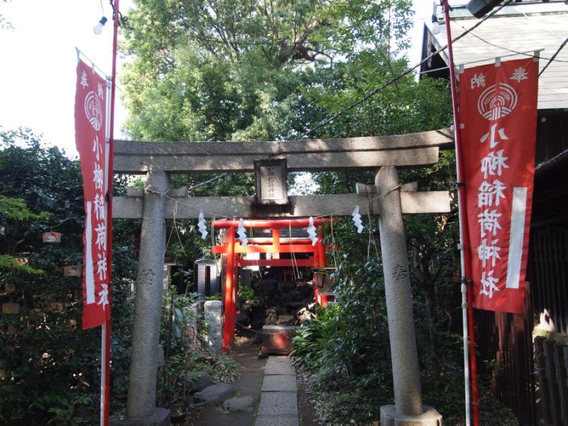 e0163471_1716744.jpg