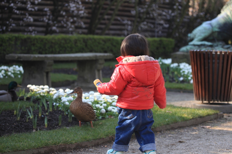 アントワープ動物園_c0187779_451161.jpg
