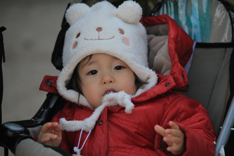 アントワープ動物園_c0187779_5163847.jpg