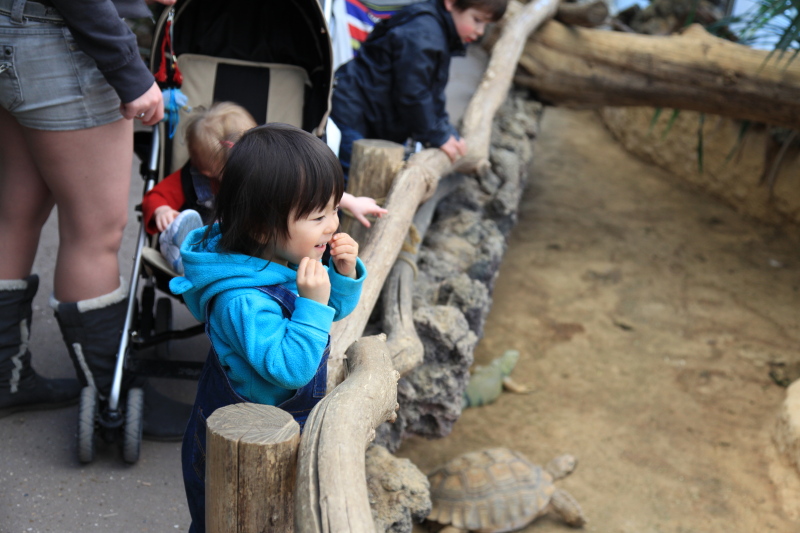 アントワープ動物園_c0187779_563126.jpg