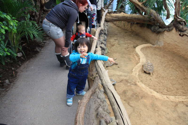 アントワープ動物園_c0187779_572142.jpg