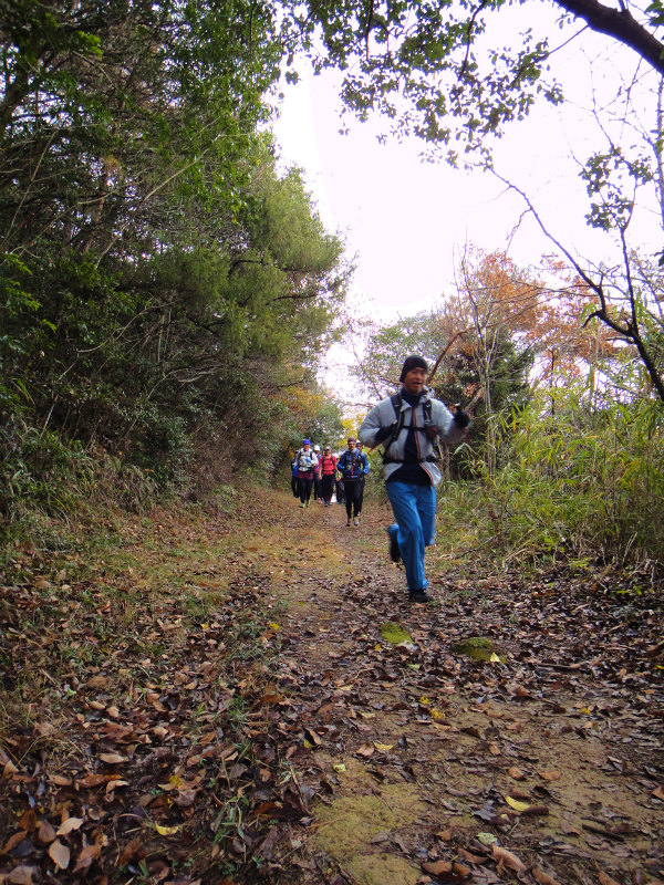 2011/12/11 Mellow Trail Session in 小野アルプス　_b0220886_1627499.jpg