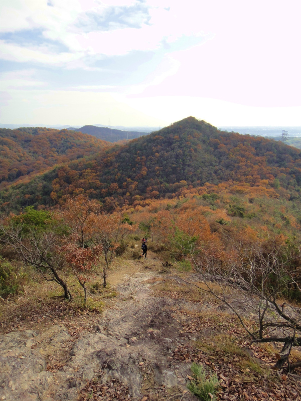 2011/12/11 Mellow Trail Session in 小野アルプス　_b0220886_1653381.jpg