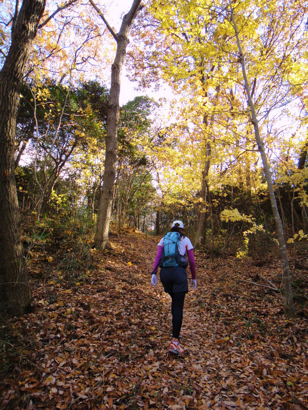 2011/12/11 Mellow Trail Session in 小野アルプス　_b0220886_16554732.jpg